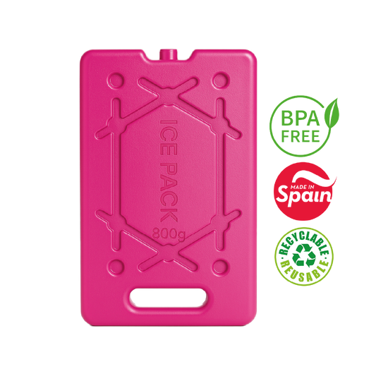 Acumulador De Frio Para Cooler 800 Gr - PlasticForte - 20 x 30 x 1,5 - N°11